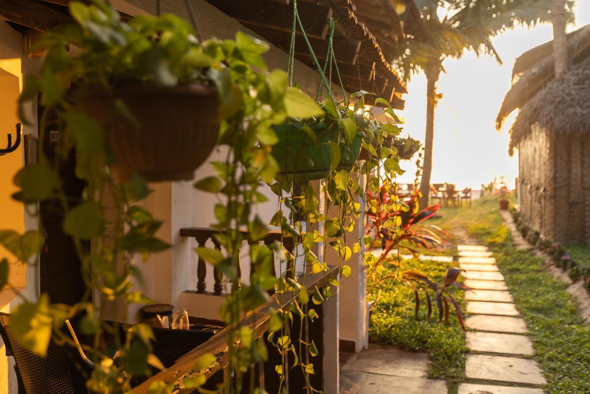 Forget Me Not Resort Агонда Екстер'єр фото